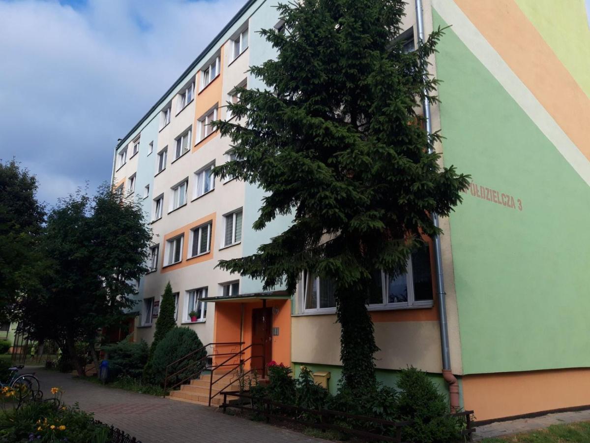 Apartament Aleksander Ciechocinek Buitenkant foto