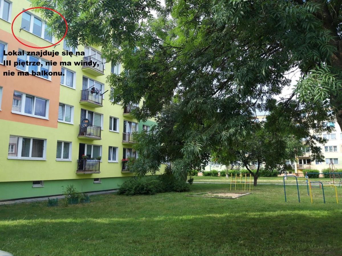 Apartament Aleksander Ciechocinek Buitenkant foto