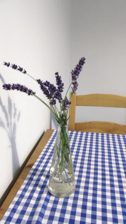 Apartament Aleksander Ciechocinek Buitenkant foto